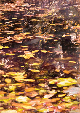 autumn reflection on lake