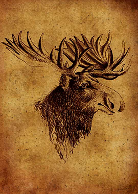 Moose vintage