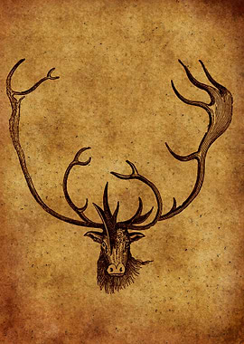 Deer Vintage