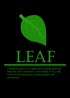 Leaf