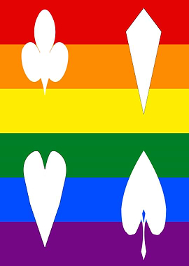 playing cards LGBT