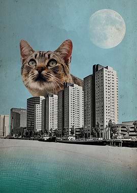 Cat City