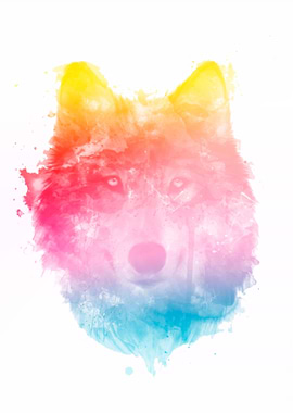 Wolf Color