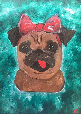 Pug