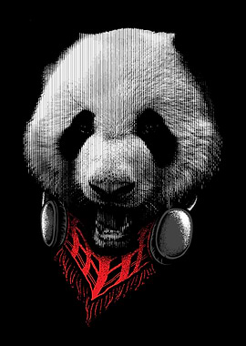 Panda Stylish