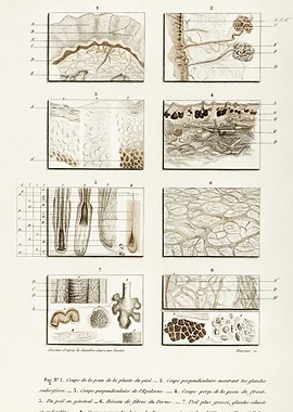 Collection Of Hand Drawing