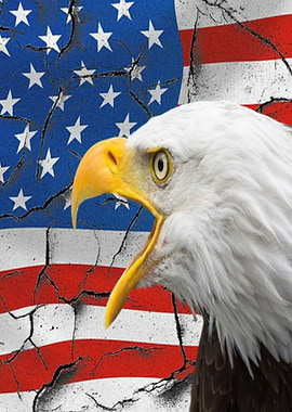 American Eagle Flag