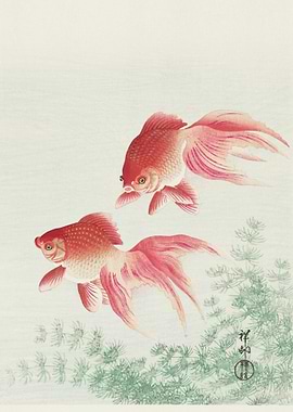 Two Veil Goldfish 1926 By
