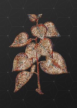 Prismatic Mosaic Floral