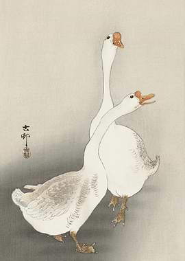 Two Geese 19001930 By Ohar