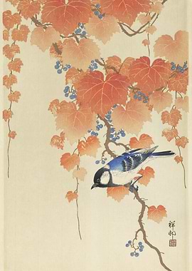 Great Tit On Paulownia Bra