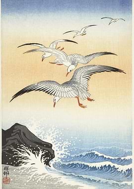 Five Seagulls Above Turbul