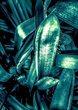 green leaves texture