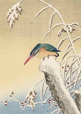 Kingfisher In The Snow 192