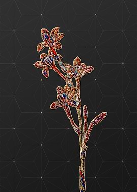 Stained Glass Botanical