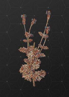 Rainbow Mosaic Botanical