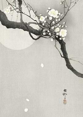 Plum Blossom And Full Moon