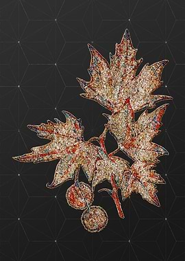 Prismatic Mosaic Floral