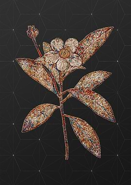 Stained Glass Floral