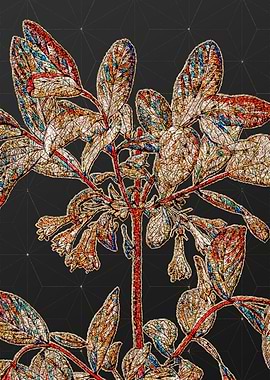 Prismatic Mosaic Floral