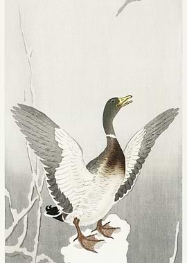 Duck On Snowy Tree Stump 1