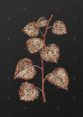 Rainbow Mosaic Botanical