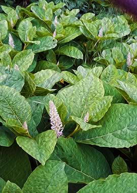 Vibration of the garden