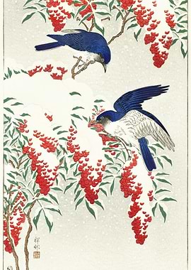 Flycatchers On A Nandina B