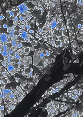 Abstract Contemporary art