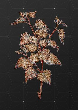 Rainbow Mosaic Botanical