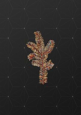 Stained Glass Botanical