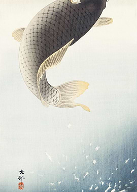 A Jumping Carp 19001930 By