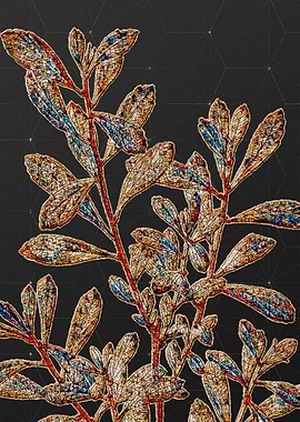 Rainbow Mosaic Botanical