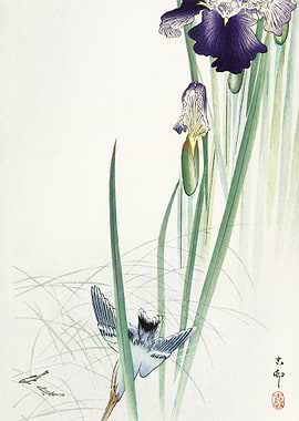 Kingfisher And Irises 1900