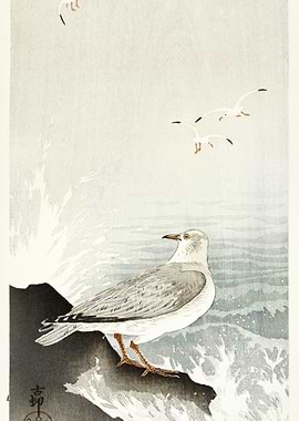 Gull On Rock 1900 1910 By