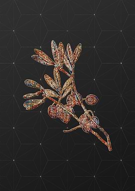 Prismatic Mosaic Floral