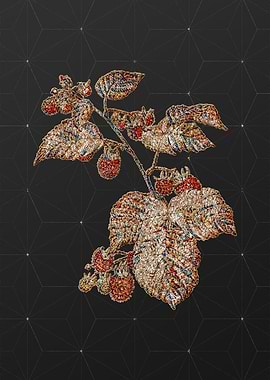 Rainbow Mosaic Botanical