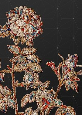 Prismatic Mosaic Botanical