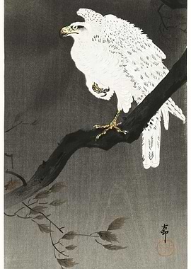 Snowy Eagle On A Tree Bran