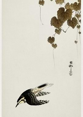 Bird In Downward Flight 19