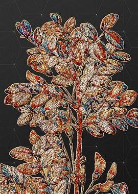 Rainbow Mosaic Botanical