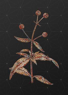 Prismatic Mosaic Floral