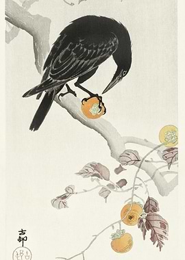 Crow With Kaki Fruit 1900