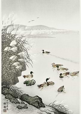 Ducks In The Water 1931 By