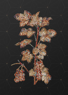 Rainbow Mosaic Botanical