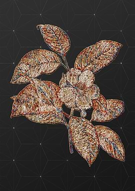 Rainbow Mosaic Botanical