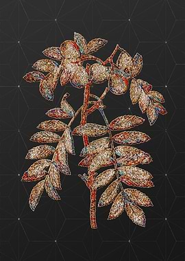 Rainbow Mosaic Botanical