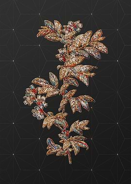 Rainbow Mosaic Botanical