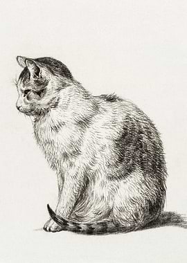 Sitting Cat 1819 By Jean B