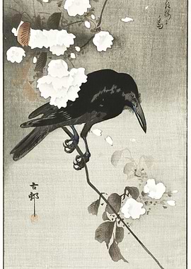 Crow With Cherry Blossom 1